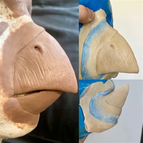 Beak Bird Nose Prosthetic Encapsulated Silicone Prosthetic Etsy