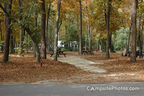 Myrtle Beach State Park - Campsite Photos, Camping Info & Reservations