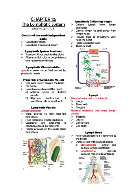 Solution Anatomy Physiology The Lymphatic System Studypool