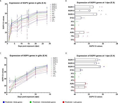 Frontiers Mucosal And Systemic Immune Responses To Salmon Gill Poxvirus Infection In Atlantic