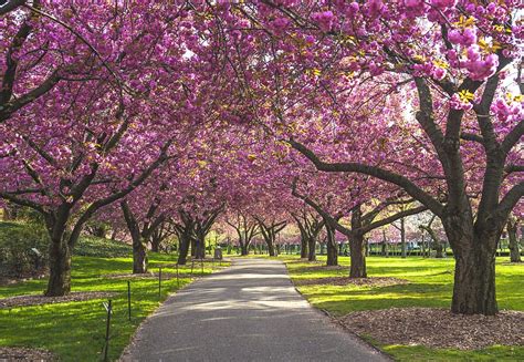 15 Breathtaking Botanical Gardens To Visit This Season Botanical