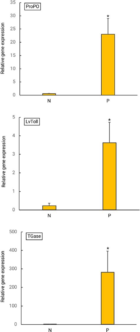 The Relative Expression Levels Of Three Immune Related Genes Propo