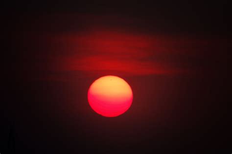 Sunset Closeup 2 Free Photo Download | FreeImages