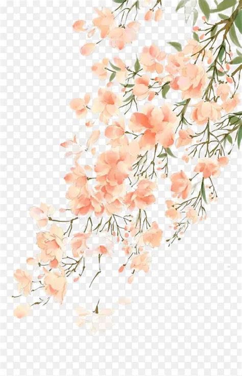 高清手绘水彩中国风粉色花朵枝条插画素材png图片素材下载图片编号qmxxebpj 免抠素材网
