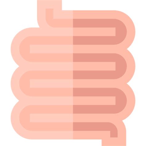 Small Intestine Basic Straight Flat Icon