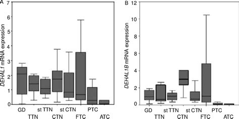 Pdf Characterisation Of Dehal Expression In Thyroid Pathologies