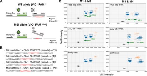 Microsatellite Instability Detection By Drop Off Ddpcr Assays A The