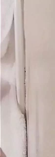 All Day Long Gay Amateur Amateur Porn Feat Fatboy Is The Big Dick Mexican With A Fat One