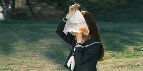 Beyond Reality's Veil: The Magic Realism in Japanese Cinema ...