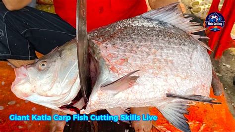 Giant Katla Carp Fish Cutting Skills Live In Bangladeshi Market L Fast