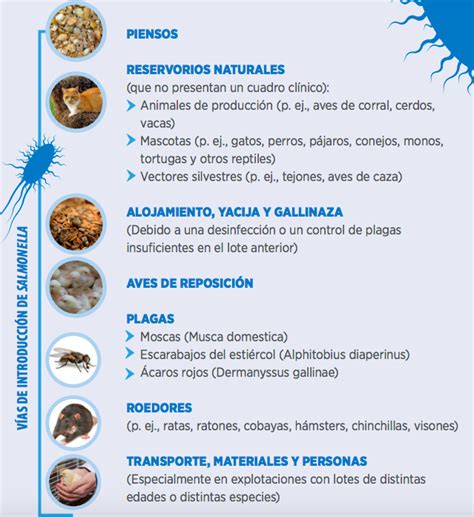 Diagn Stico Seguimiento Para S Enteritidis S Typhimurium