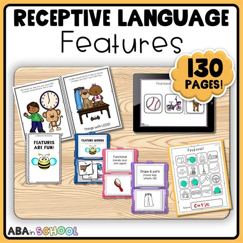 Receptive Identification Feature Function Class Activities Ablls