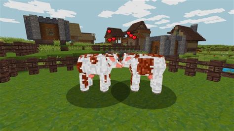 What Do Cows Eat In Minecraft Apk Facts