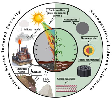 A Schematic Diagram Shows Different Abiotic Stress Factors Inducing