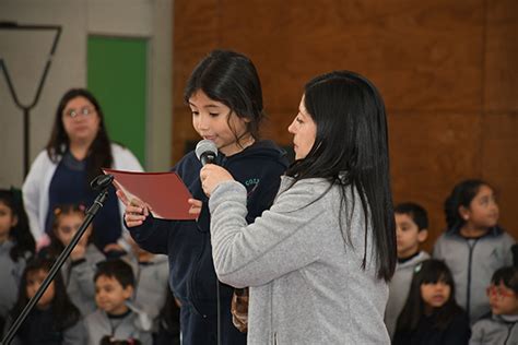 Despedida Y Licenciatura Cuartos Medios Colegio Alicante De La