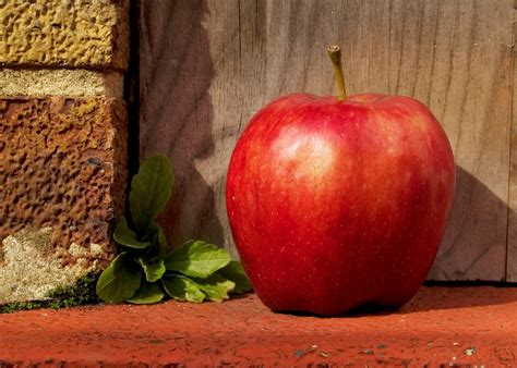 Free Images Apple Fruit Food Red Produce Still Life Painting