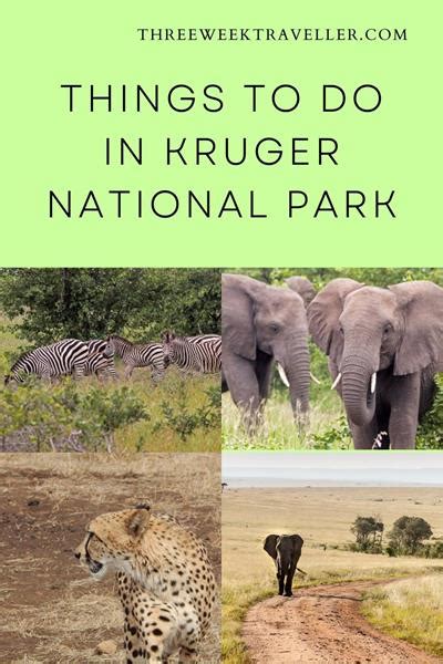 16 Things To Know Before Visiting Kruger National Park Artofit