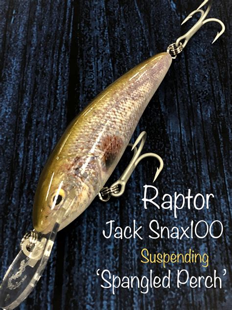 Raptor Jack Snax Live Series 7ft Suspending ‘Spangled Perch’ | Craigs ...