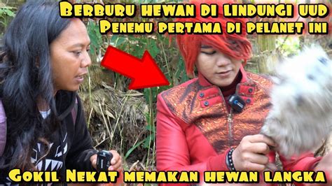 Berburu Hewan Langka Species Baru Mamalia Yang Bertelur Youtube