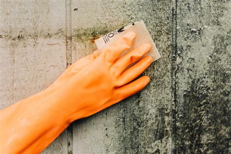 Remove Mold From Wood Surfaces Safely And Properly Artofit