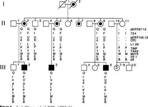 Figure From Linkage Heterogeneity Between X Linked Retinitis