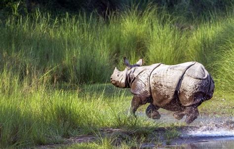 Nights Days Guwahati Kaziranga Tour Bhargab Travels