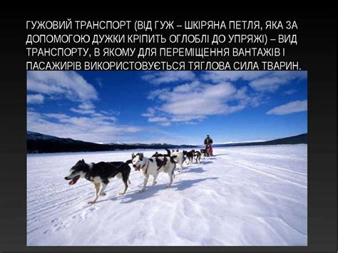 ВИДИ ТРАНСПОРТУ Транспортні системи - презентація з культури
