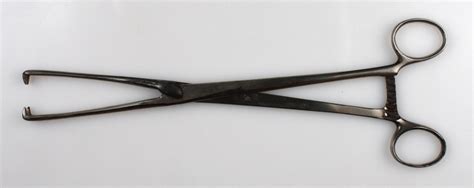 Pean’s Uterine Vulsellum Forceps — The Tizzano Museum