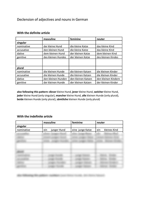 Declension For All Adjectives And Nouns German Year 11 Vce Thinkswap