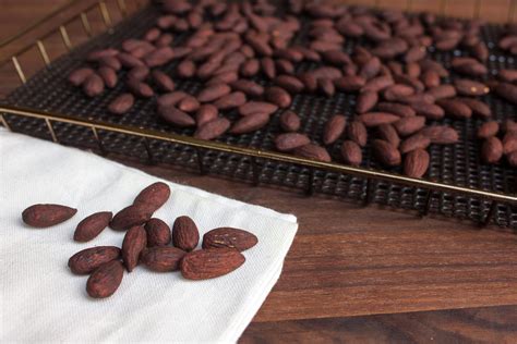 Mesquite Smoked Almonds Recipe Bradley Smoker