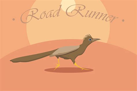Cute Road Runner Cartoon Vector Stock Illustration Download Image Now
