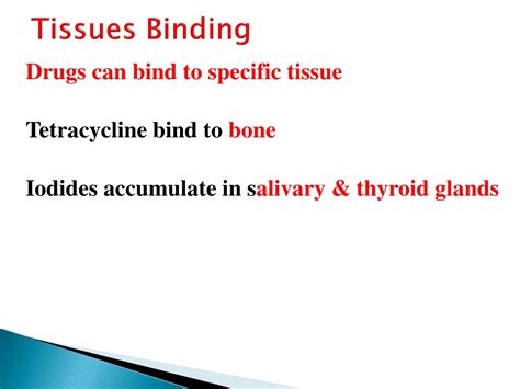 Ppt Pharmacokinetics Ii Bioavailability And Distribution Powerpoint