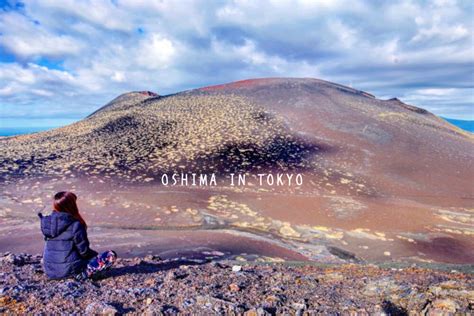 【伊豆大島】観光スポット25選 火山島の絶景を巡る一周ドライブ♩