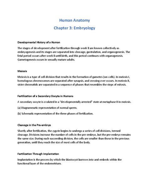 Anatomy Ch 3 Notes Human Anatomy Chapter 3 Embryology