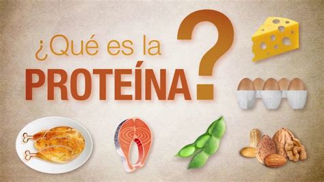 ¿qué Son Y Para Qué Sirven Las Proteínas Chompchomp