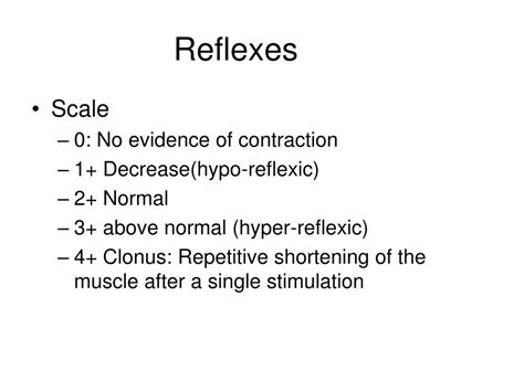 Ppt Clinical Considerations Of The Nervous System Powerpoint