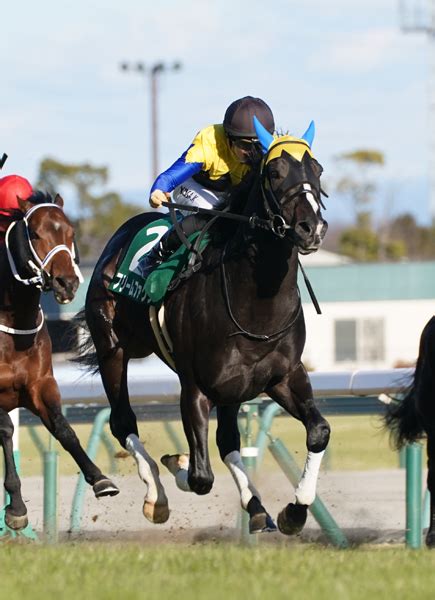 源さん On Twitter Rt Gallopkeiba 中京11r、きさらぎ賞を制したのは1番人気フリームファクシ！ 未勝利→1