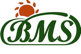 BMS Logo - LogoDix