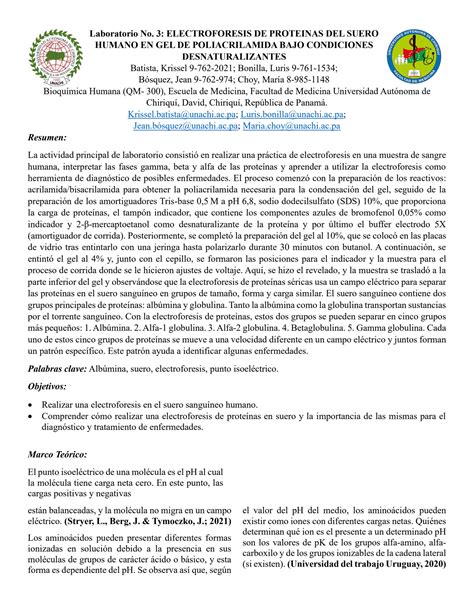 SOLUTION Informe 3 Bioqu Mica Electroforesis Studypool