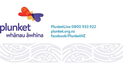 Whanau Awhina Plunket Online Babysitting Course RGHS Te Matarere 3