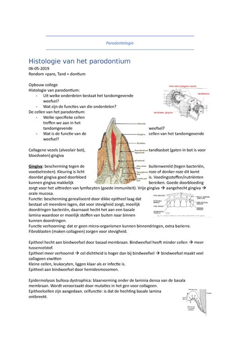 Parodontologie College Aantekeningen 1 En 2 Parodontologie