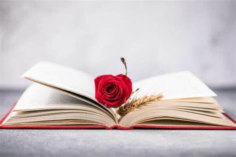 Libros Recomendados Para Sant Jordi 2024 Unihabit