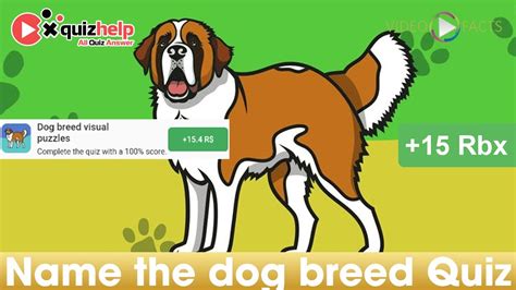 Name The Dog Breed Quiz Answers 100 Earn 15 Rbx Video Facts Youtube