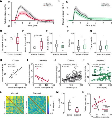 Excitation Inhibition Imbalance Leads To Alteration Of Neuronal