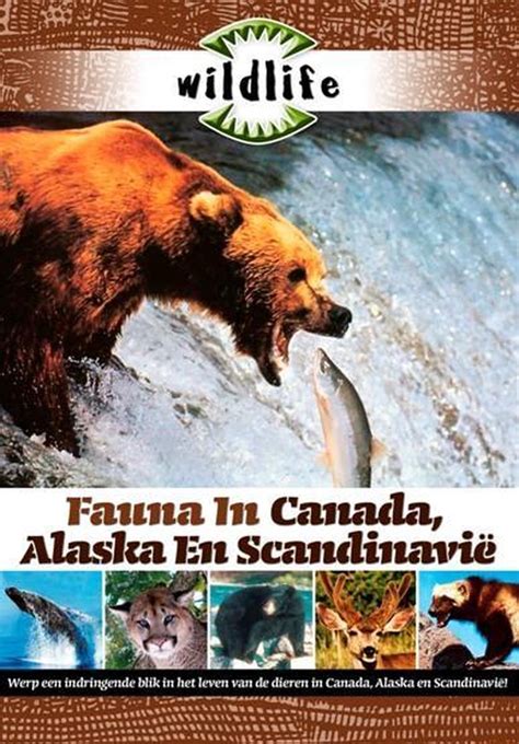 Wildlife Fauna In Noord West Amerika Dvd Dvd S Bol