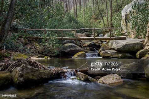 Lake Raven Photos And Premium High Res Pictures Getty Images