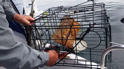 Crabbing In The Puget Sound Youtube