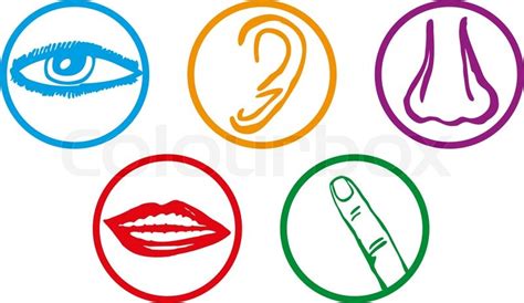 5 Senses Clip Art - ClipArt Best