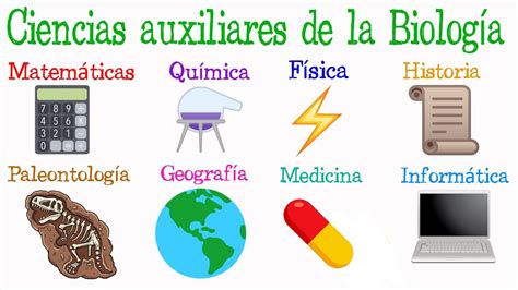 Qu Son Las Ciencias Auxiliares De La Biolog A Educaci N Activa