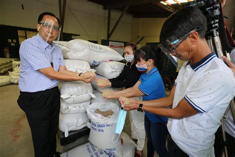 Da Nfa Intensifies Palay Buying To Maintain Prices Assure Farmers